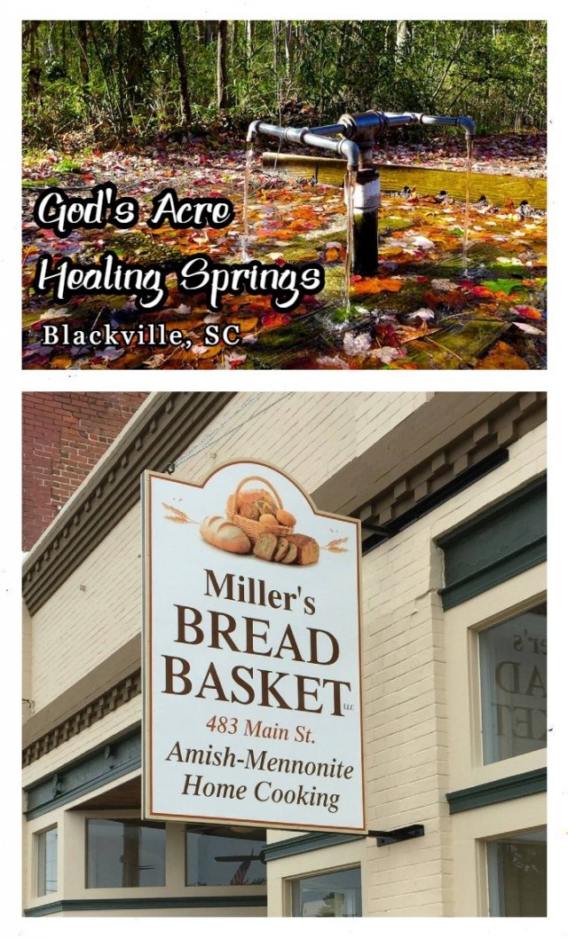 Senior Citizen Trip to Healing Springs